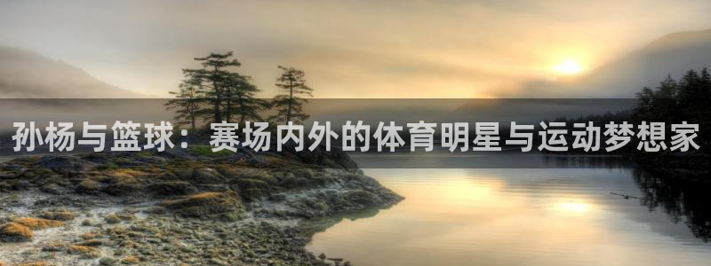 孙杨与篮球：赛场内外的体育明星与运动梦想家