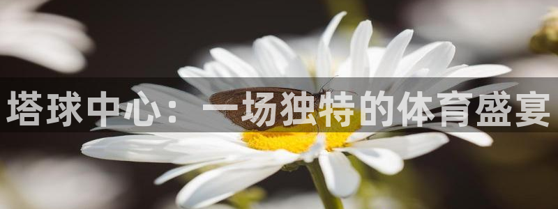 风速体育电脑能用吗：塔球中心：一场独特的体育盛宴