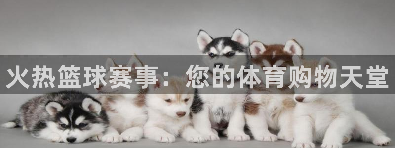 风速体育正品老店是正品吗多少钱：火热篮球赛事：您的体育购物天