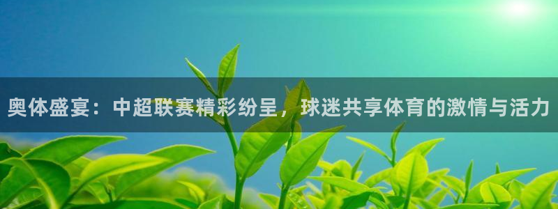 风速体育app官方下载安装：奥体盛宴：中超联赛精彩纷呈，球迷