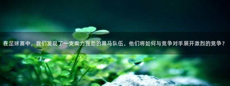 风速体育电脑版：在足球赛中，我们发现了一支实力强劲的黑马队伍
