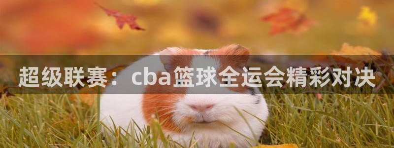 风速体育NBA免费直播：超级联赛：cba篮球全运会精彩对决