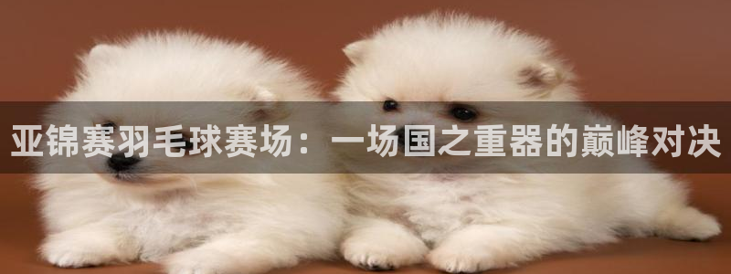 风速体育官方版最新版本更新内容：亚锦赛羽毛球赛场：一场国之重