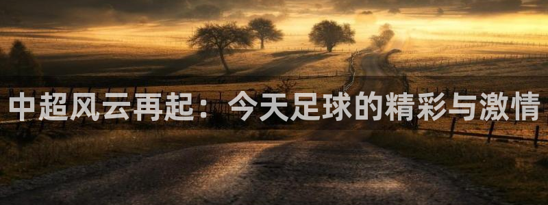 风速体育直播吧：中超风云再起：今天足球的精彩与激情