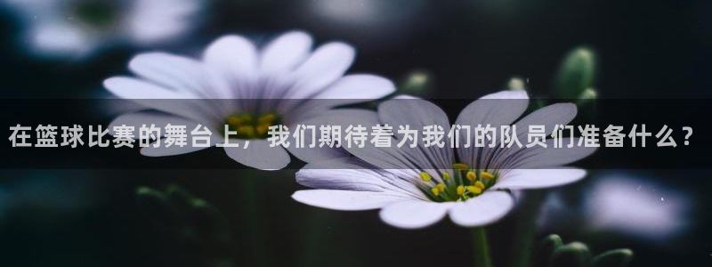 风速体育旧版app下载安卓版：在篮球比赛的舞台上，我们期待着