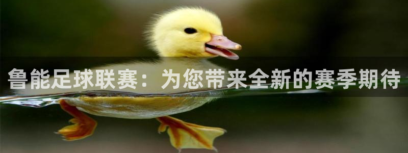 风速体育直播篮球比赛：鲁能足球联赛：为您带来全新的赛季期待